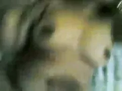 বহু পুরুষের এক নারির ...