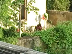 মেয়ে সমকামী, সেক্স  ...
