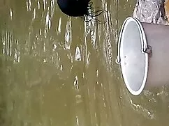 বড় সুন্দরী ইংলিশ সে ...