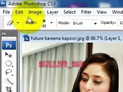 একাকী, মহিলাদের ইংলি ...