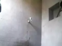 সুন্দরি সেক্সি ইংলিশ ...