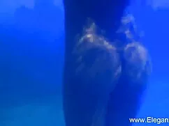 বাস্তবতা, বাড়ীতে ইং ...