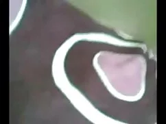 স্বর্ণকেশী, ইংলিশ সে ...