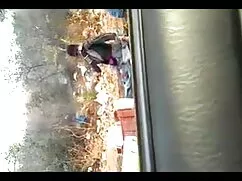 - ওয়াইল্ড ইংলিশ সেক ...