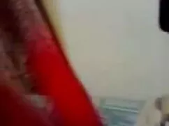 সর্বজনীন ইংলিশ মুভি  ...