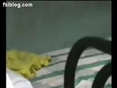 ডগী-স্টাইল, ইংলিশ নি ...