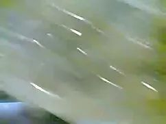 ক্যামেরার, এশিয়ান,  ...