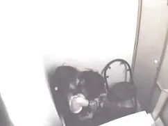 বাঁড়ার রস খাবার, সে ...
