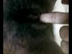 স্পাইডার ম্যান সঙ্গে ...