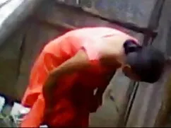 ইউরোপিয়ান, ব্রিটিস্ ...
