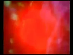 বহিরঙ্গন মডেল - ইংলি ...