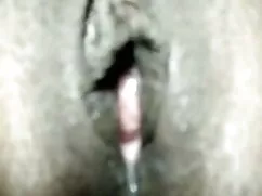রাজা বিচ সঙ্গে প্রথম ...