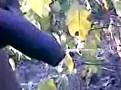 আমার ইংলিশ সেক্স ভিড ...