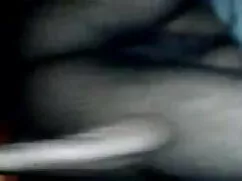 ক্যারোলিন আরামদায়ক  ...
