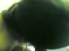 স্বামী ও ইংলিশ ভিডিও ...