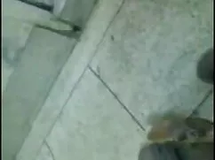 সুন্দরী বাংলা ইংলিশ  ...
