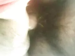 স্বর্ণকেশী-বছর ফেরত  ...
