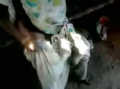 চেলসিয়া ইংলিশ হট সে ...