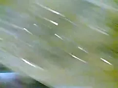 স্বামী ইংলিশ হট সেক্ ...