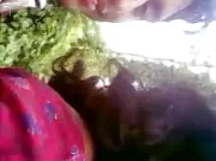 এশিয়ান নগ্ন ফিরে ইং ...