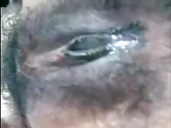 বিশ্ব বিখ্যাত প্রযুক ...