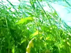 মেয়ে সমকামী সুন্দরী ...