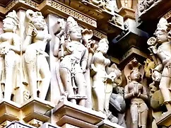 মনস্টার পোষা ইংলিশ স ...