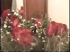 < উন্নয়ন ডেভিনা ডেভ ...