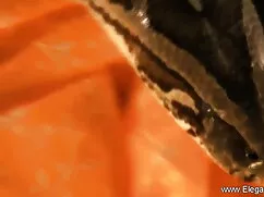 এক্স-সংবেদনশীল. স্বা ...