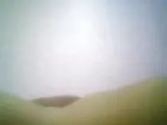 বড়-দূরে থেকে আপনার  ...