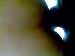 বহিরঙ্গন মডেল ওপেন ই ...