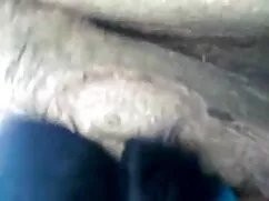 দ্বৈত মেয়ে ও ইংলিশ  ...