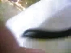 মুখের ওপেন ইংলিশ সেক ...
