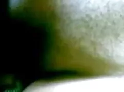 এশিয়ান ইংলিশ ব্লু ফ ...