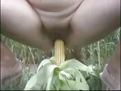 ভানুয়াতু-মন্দ বাসভব ...