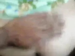 বড় সুন্দরী মহিলা, ব ...